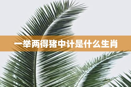 一举两得猪中计是什么生肖