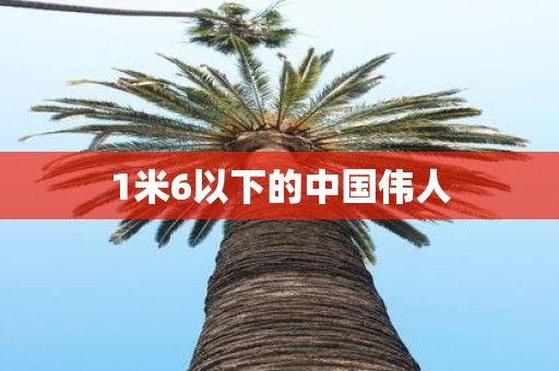 1米6以下的中国伟人