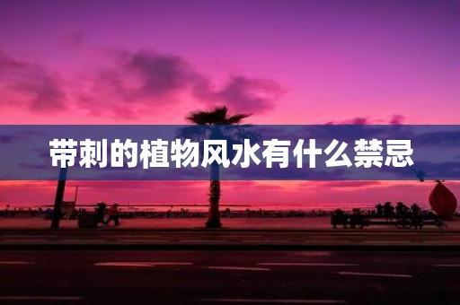 带刺的植物风水有什么禁忌