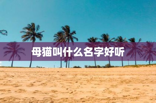 母猫叫什么名字好听
