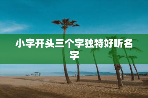 小字开头三个字独特好听名字