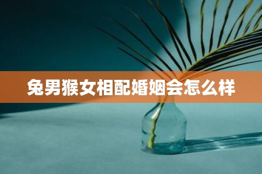 兔男猴女相配婚姻会怎么样