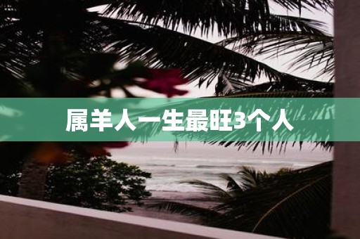 属羊人一生最旺3个人