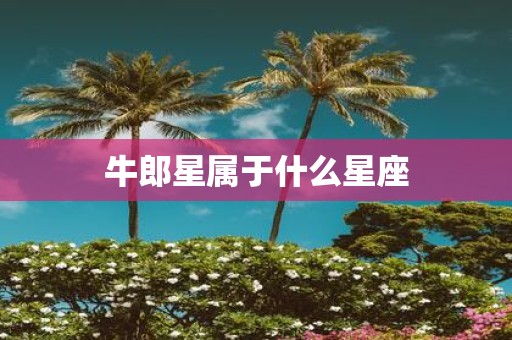 牛郎星属于什么星座