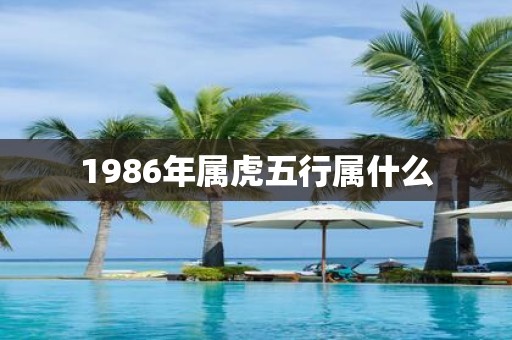 1986年属虎五行属什么