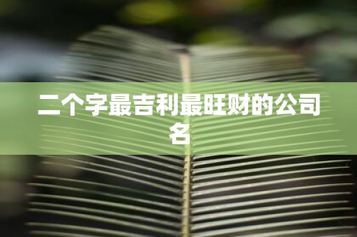 二个字最吉利最旺财的公司名