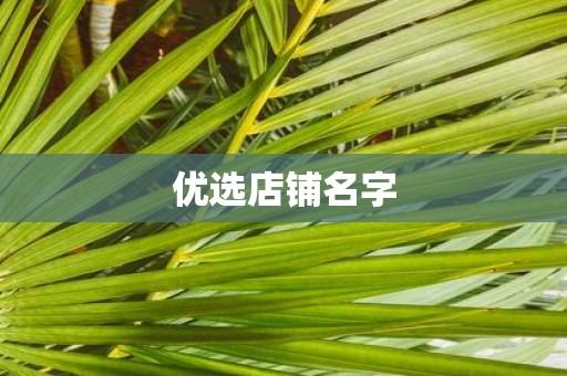 优选店铺名字