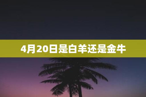 4月20日是白羊还是金牛