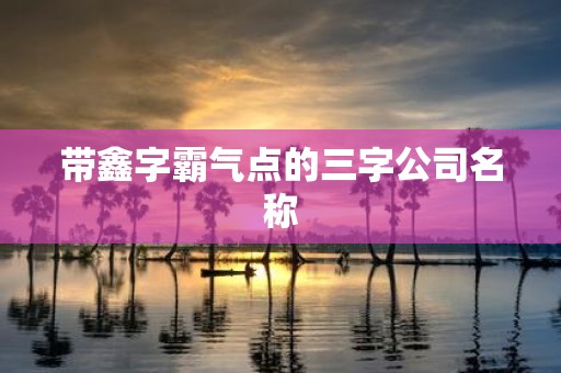 带鑫字霸气点的三字公司名称