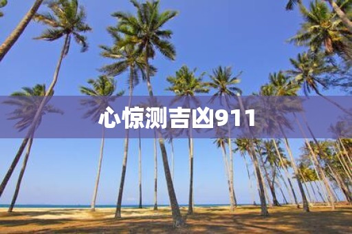 心惊测吉凶911