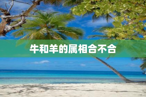 牛和羊的属相合不合