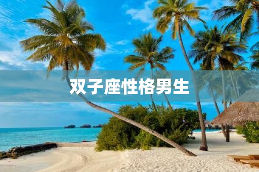 双子座性格男生