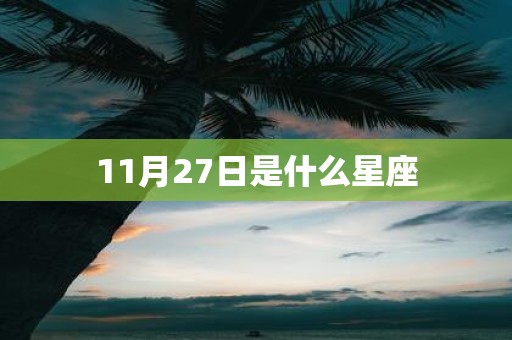 11月27日是什么星座