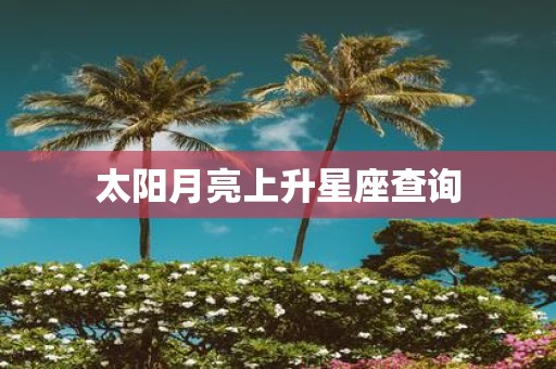 太阳月亮上升星座查询