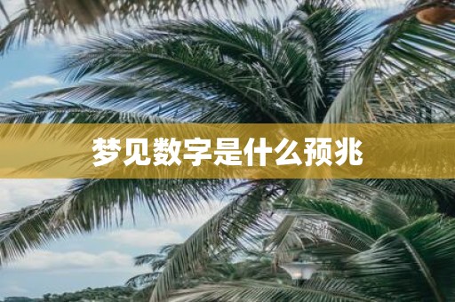 梦见数字是什么预兆