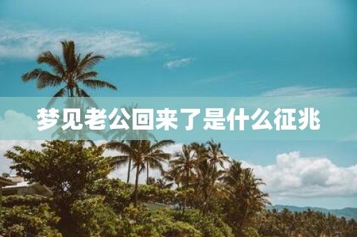 梦见老公回来了是什么征兆