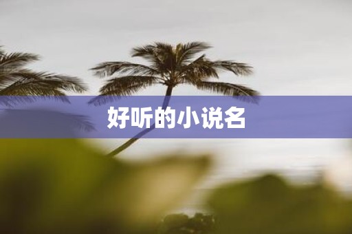 好听的小说名