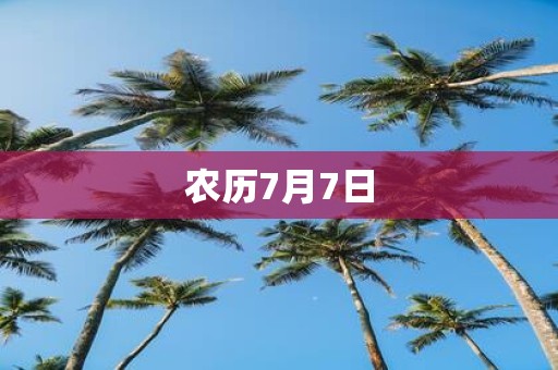 农历7月7日