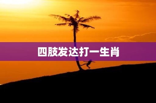 四肢发达打一生肖