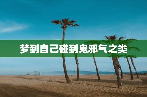 梦到自己碰到鬼邪气之类