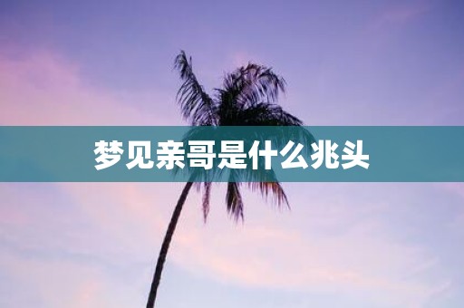 梦见亲哥是什么兆头