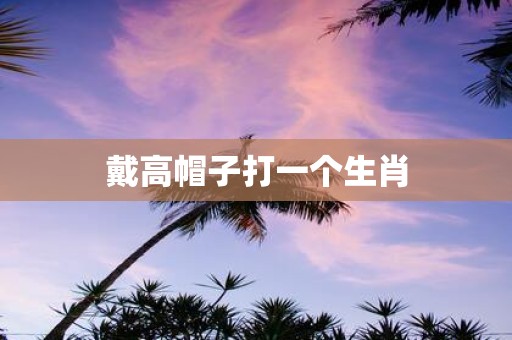 戴高帽子打一个生肖