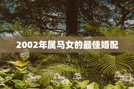 2002年属马女的最佳婚配