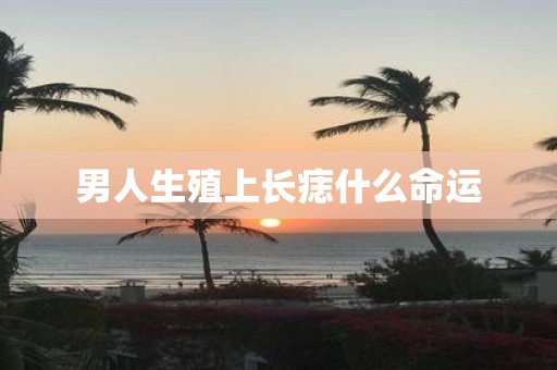 男人生殖上长痣什么命运