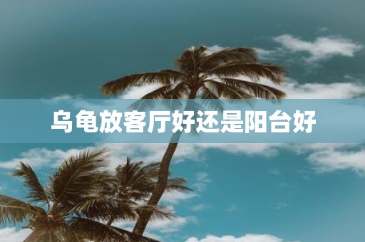乌龟放客厅好还是阳台好