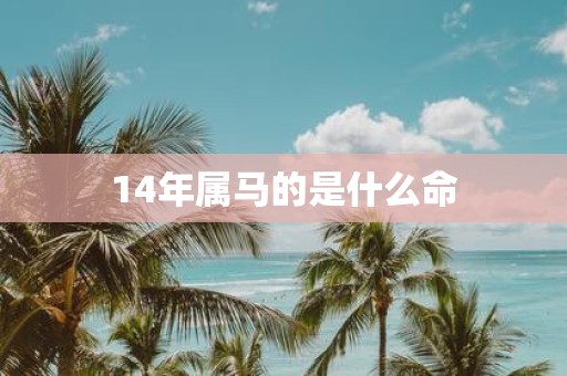 14年属马的是什么命