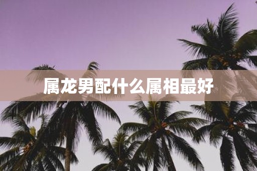 属龙男配什么属相最好