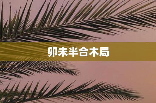 卯未半合木局