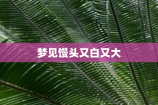 梦见馒头又白又大