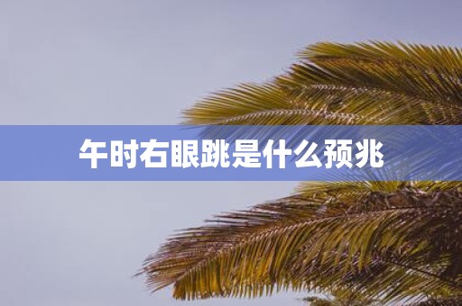 午时右眼跳是什么预兆