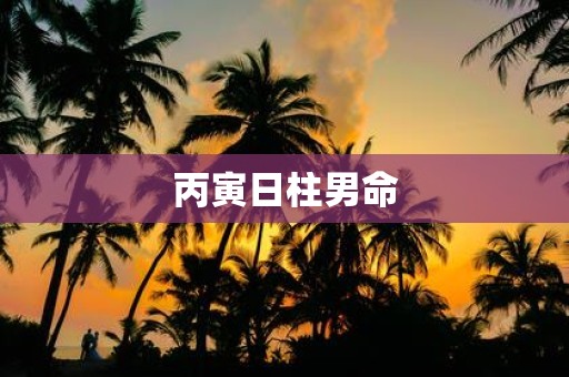 丙寅日柱男命