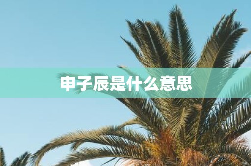 申子辰是什么意思