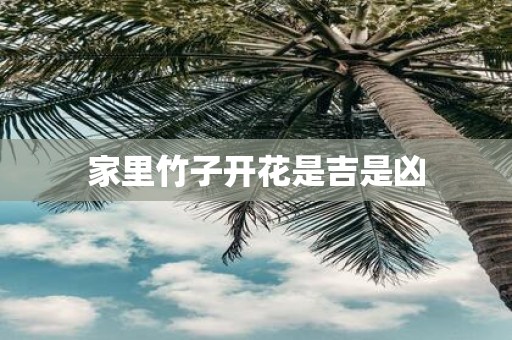 家里竹子开花是吉是凶