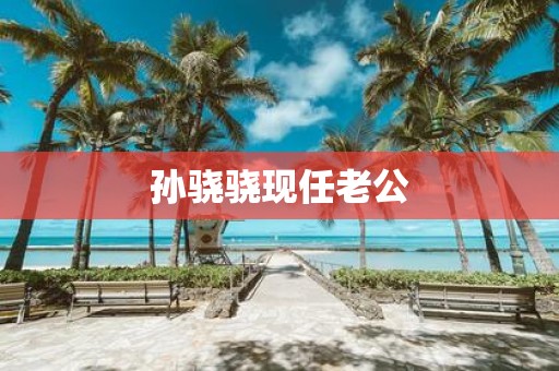 孙骁骁现任老公