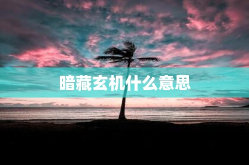 暗藏玄机什么意思