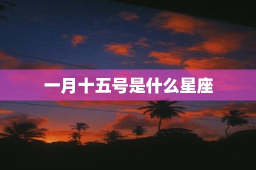 一月十五号是什么星座