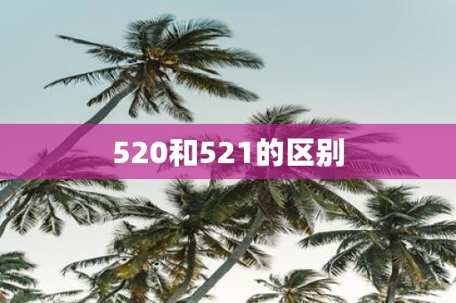 520和521的区别