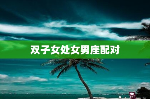 双子女处女男座配对