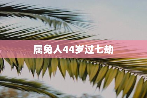 属兔人44岁过七劫