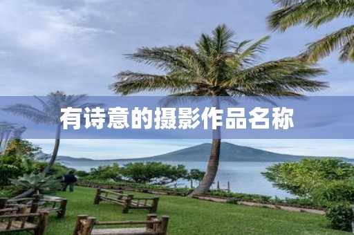 有诗意的摄影作品名称