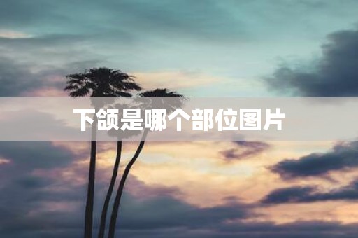 下颌是哪个部位图片