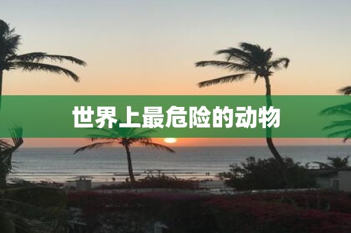 世界上最危险的动物