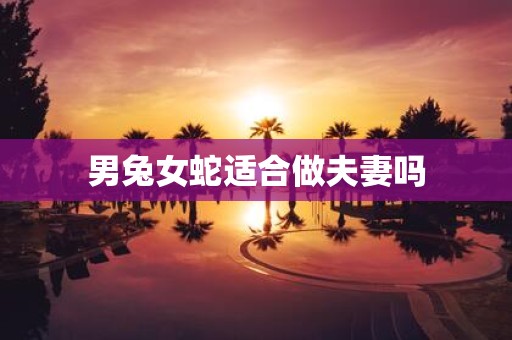 男兔女蛇适合做夫妻吗