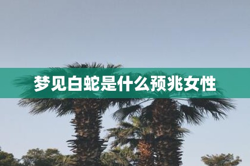 梦见白蛇是什么预兆女性