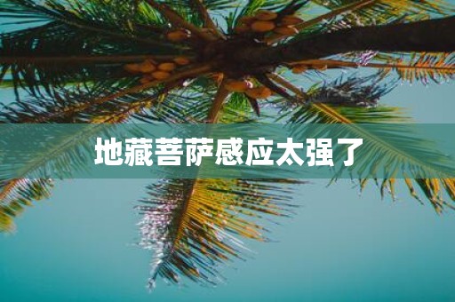 地藏菩萨感应太强了