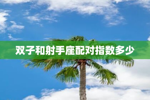 双子和射手座配对指数多少